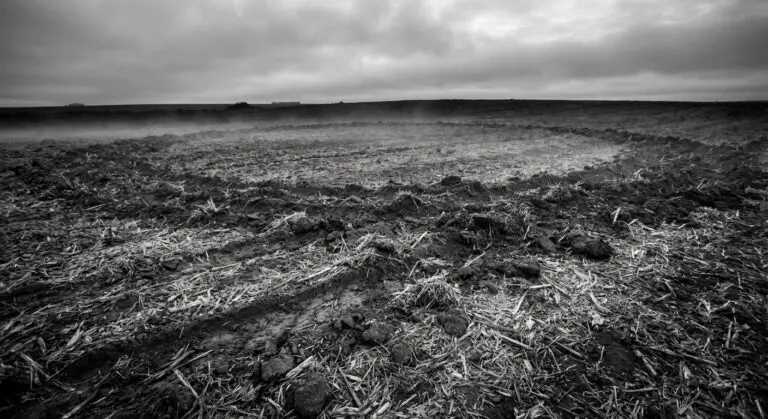 Encounter timeline moment: field and tracks