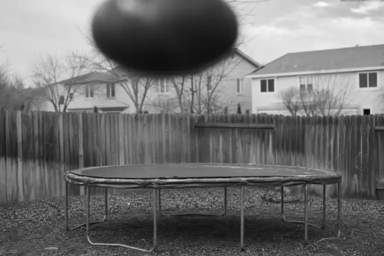 Perspective Test in a Backyard