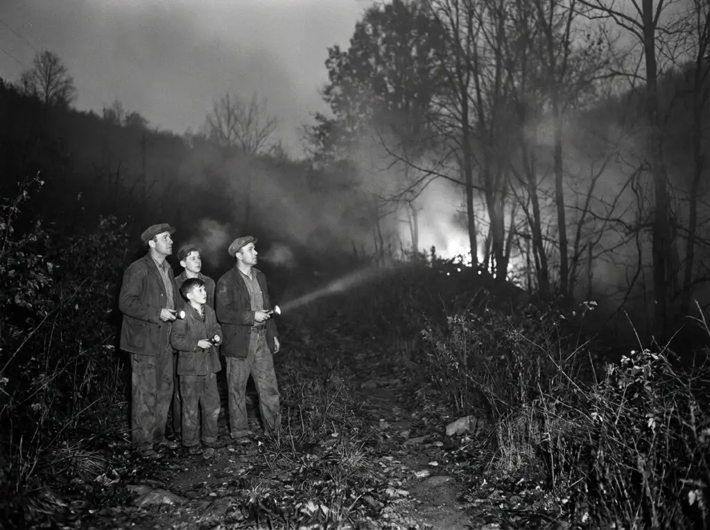 Flatwoods night encounter