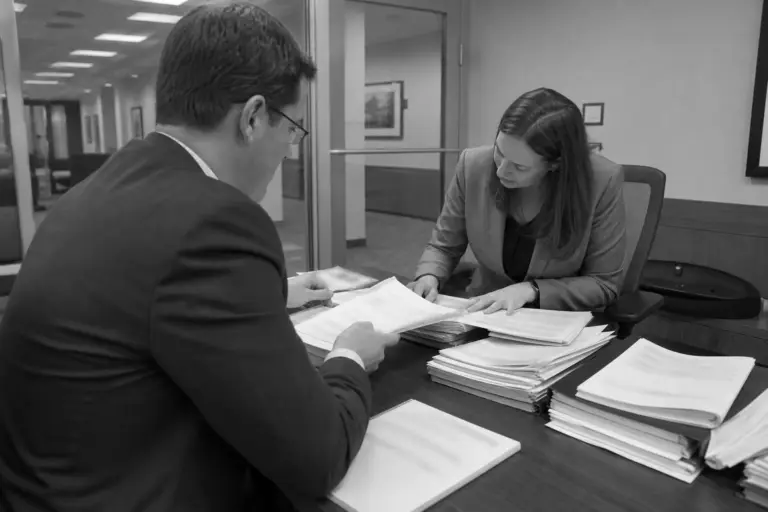 Defense Procurement Review