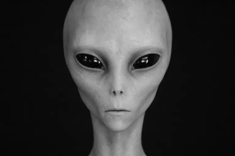 The Face That Became a Visual Shorthand