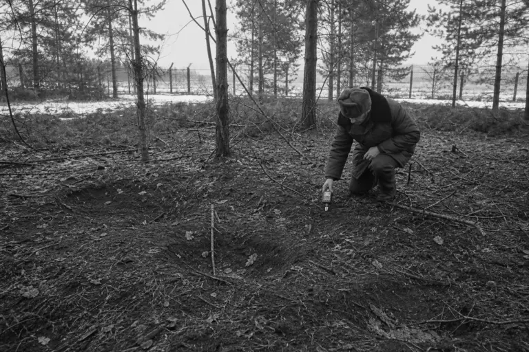Forest ground investigation