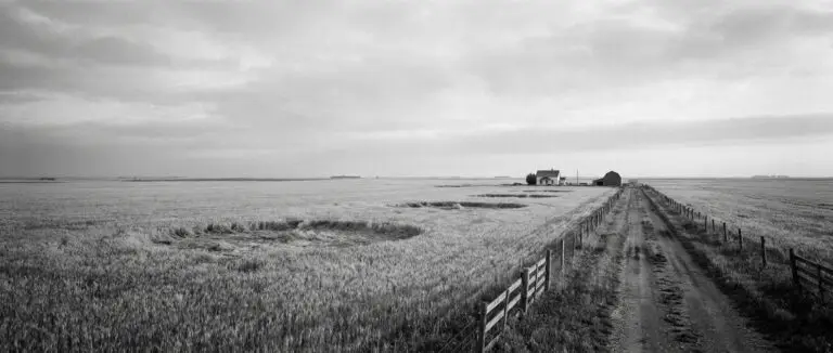 Wide prairie field after the event