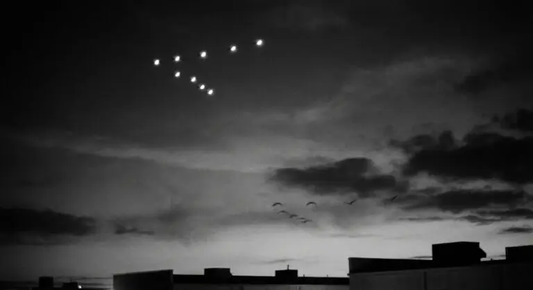 Leading explanations: birds vs lights