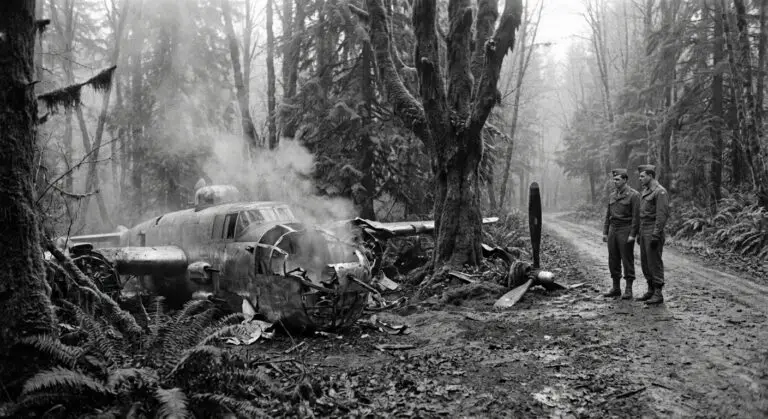 B-25 crash wreckage in forest