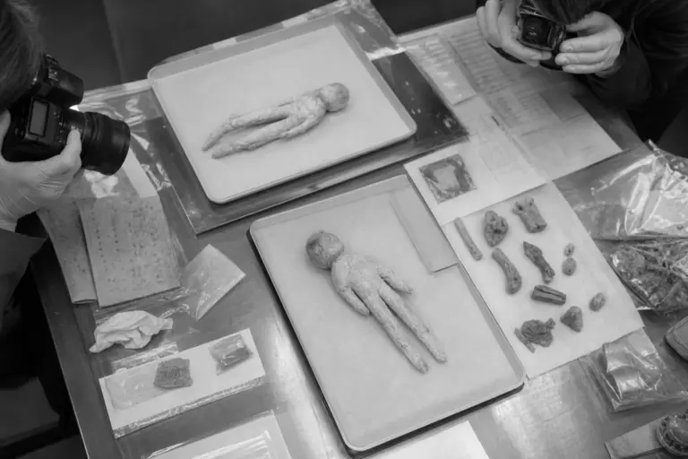 Forensic review of seized figures