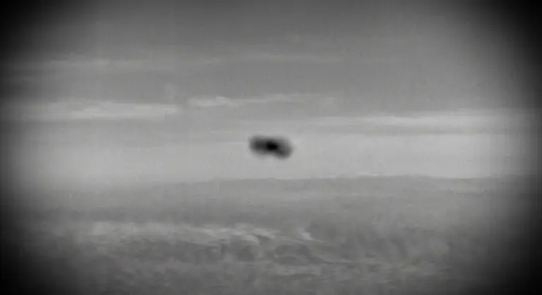 FLIR-Style Sensor View