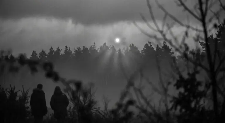 Distant light over the treeline