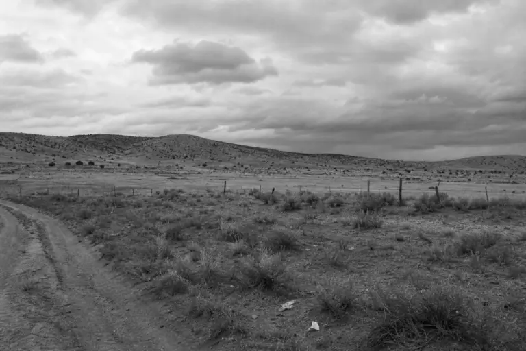 Foster Ranch Landscape