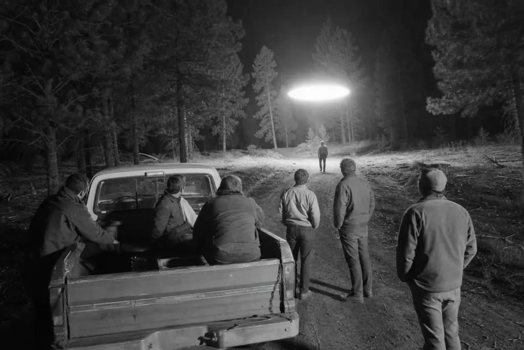 Arizona Forest Encounter
