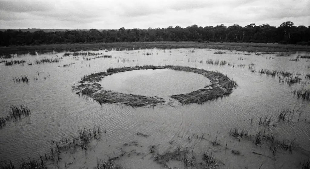 Circular Nest in Lagoon (1966)