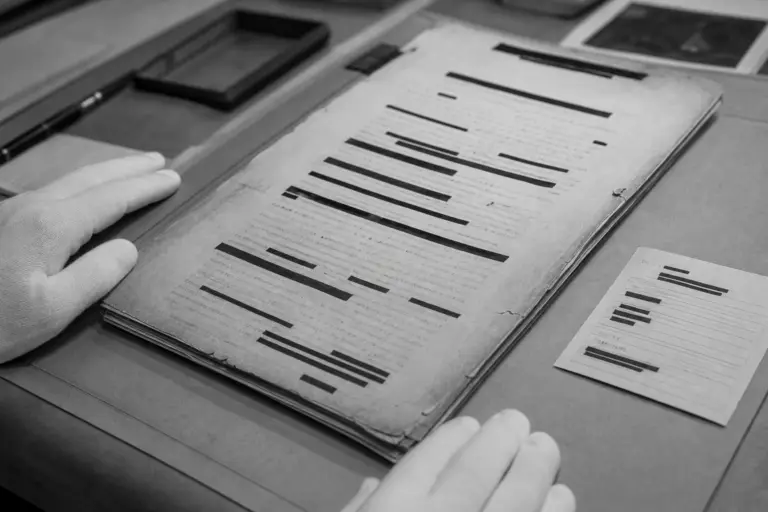 Redacted Public Record